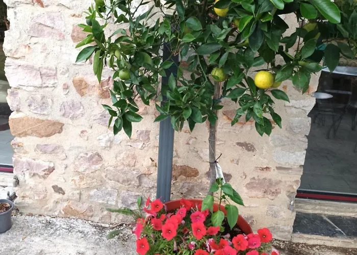 Couette-café Chez Zabou Nature *